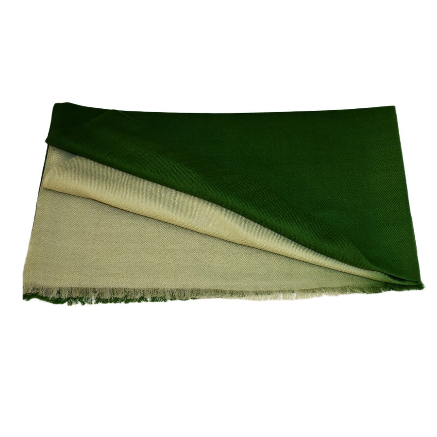 Esarfa Sal Casmir si Matase Naturala - Ombre 2 nuante -> Cod: CASMIRSILK11