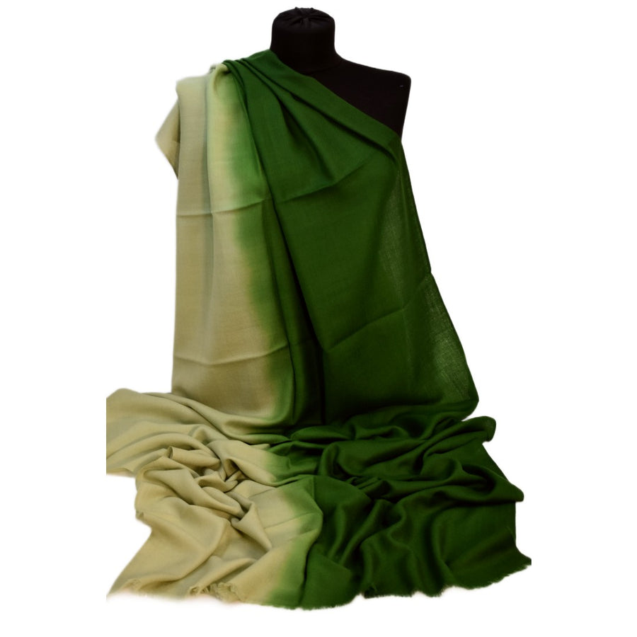 Esarfa Sal Casmir si Matase Naturala - Ombre 2 nuante -> Cod: CASMIRSILK11