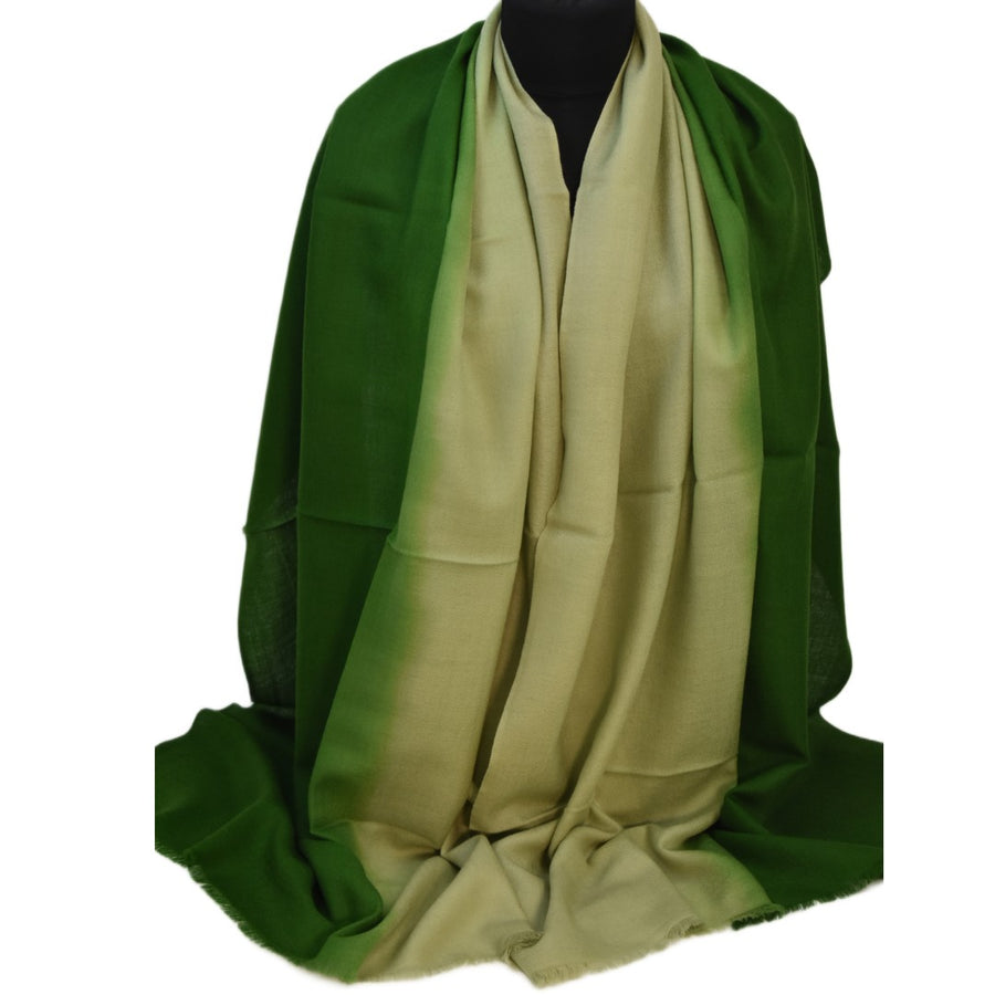 Esarfa Sal Casmir si Matase Naturala - Ombre 2 nuante -> Cod: CASMIRSILK11