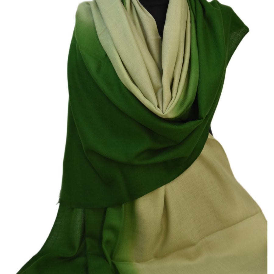 Esarfa Sal Casmir si Matase Naturala - Ombre 2 nuante -> Cod: CASMIRSILK11