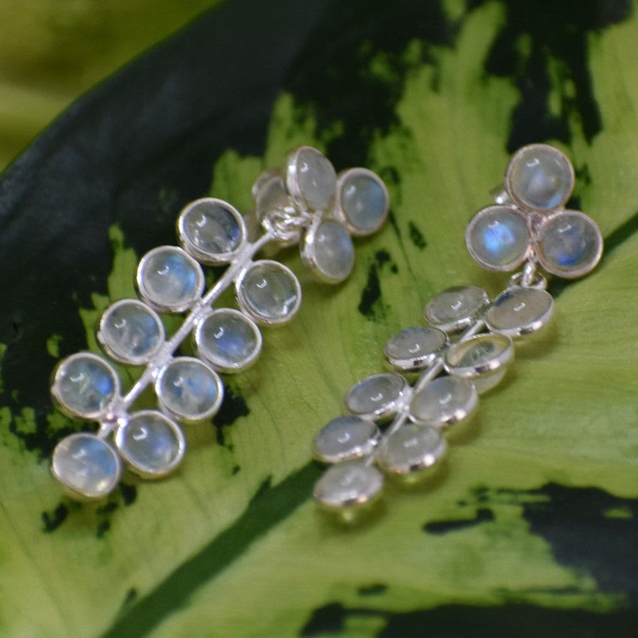 Cercei din Argint 925 cu 17.53 Carate Pietre Semipretioase Naturale de Piatra Lunii (rainbow moonstone) - cercei din argint cu piatra lunii