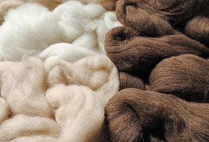 Salul din Cashmere intre mit si realitate! Cum sa recunoasteti Cashmere-ul autentic