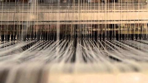 Salul din Cashmere intre mit si realitate! Cum sa recunoasteti Cashmere-ul autentic