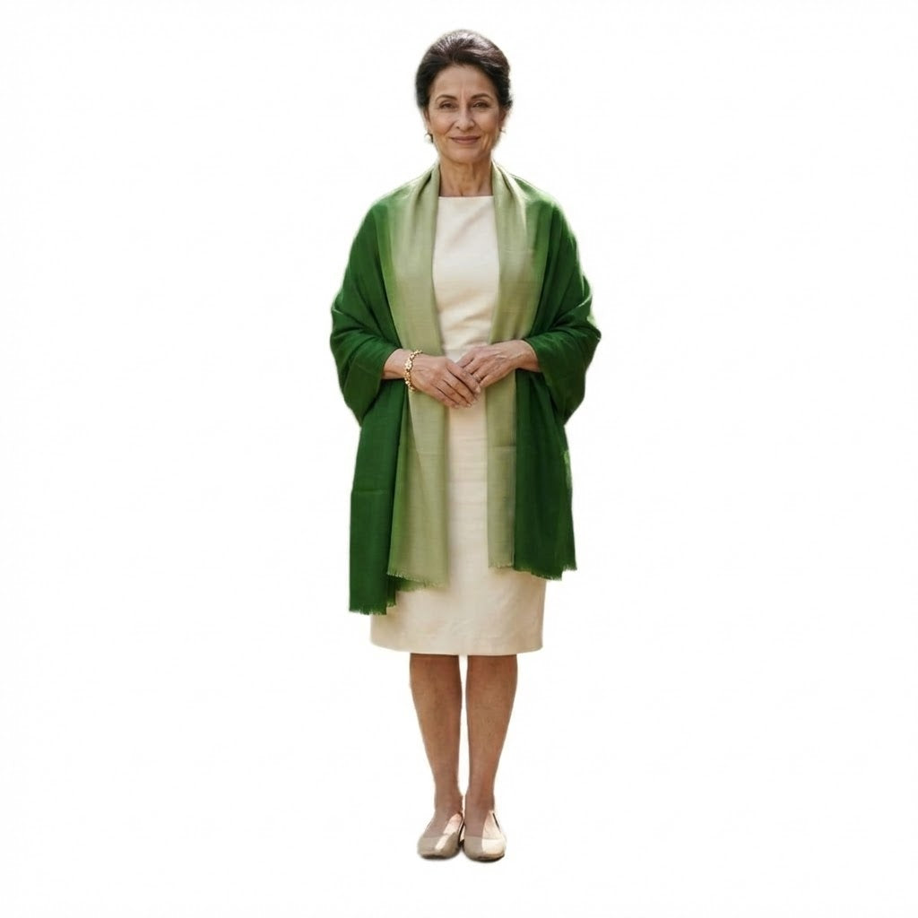 Esarfa Sal Lana Casmir si Matase Naturala - Ombre 2 nuante -> Cod: CASMIRSILK11